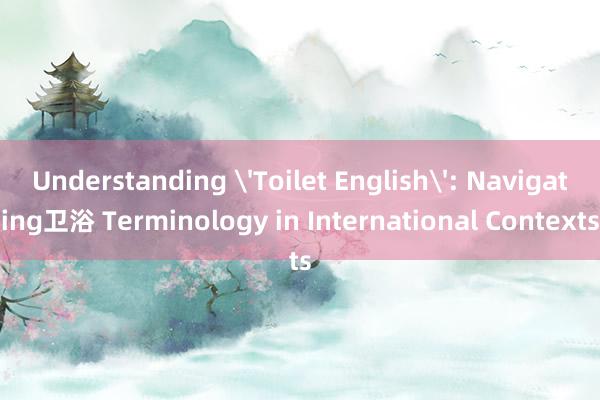 Understanding 'Toilet English': Navigating卫浴 Terminology in International Contexts